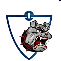 Security Professional